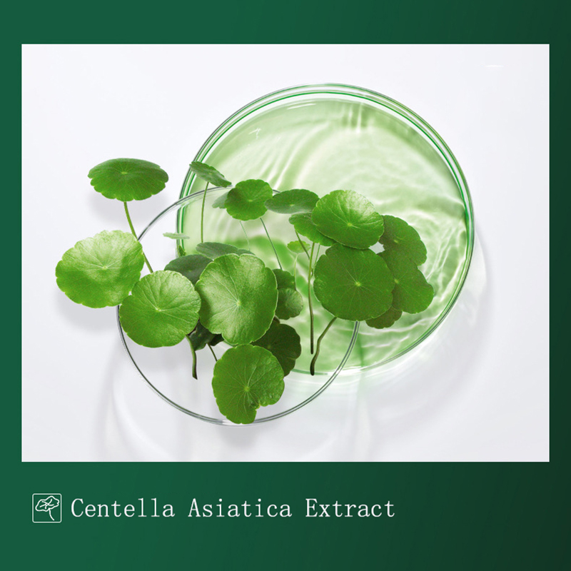 8Pcs Centella Modder Masker An - Dust Mask Construction recensie en prijs